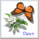dawnbutfly.gif (9127 bytes)