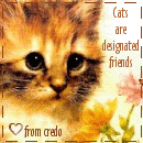 credo-kittycat.gif (16483 bytes)